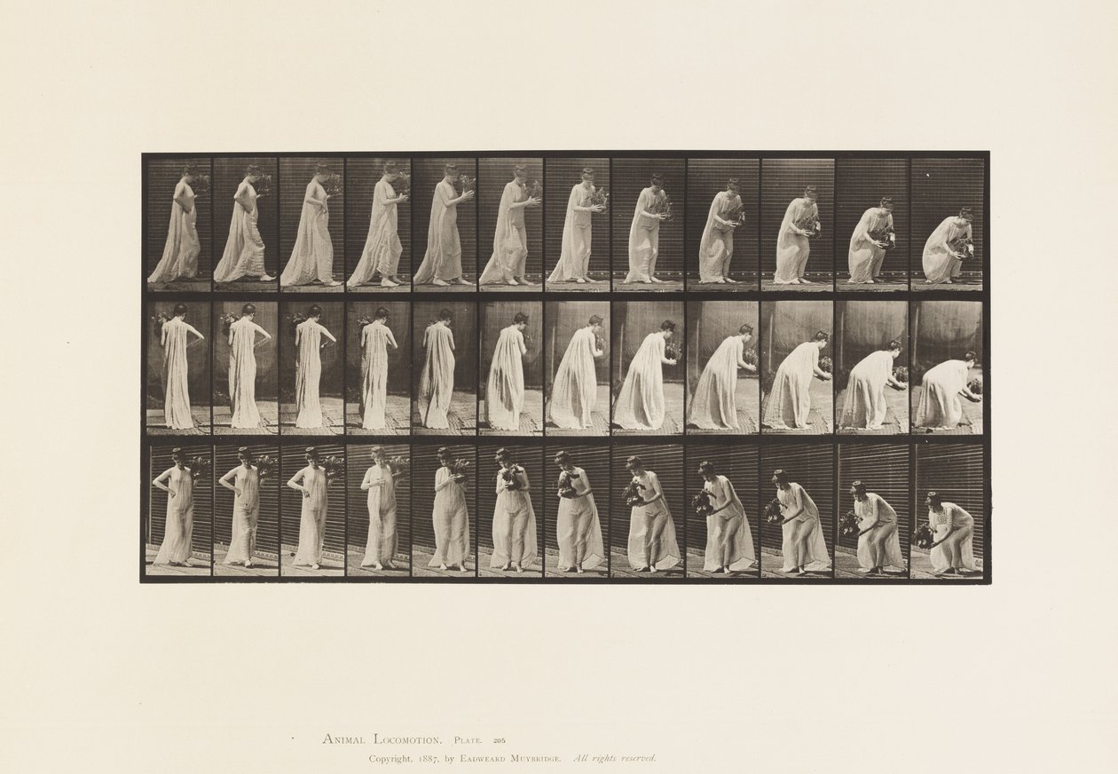 Plate 205. Bære og bøye seg med vase, 1885 av Eadweard Muybridge