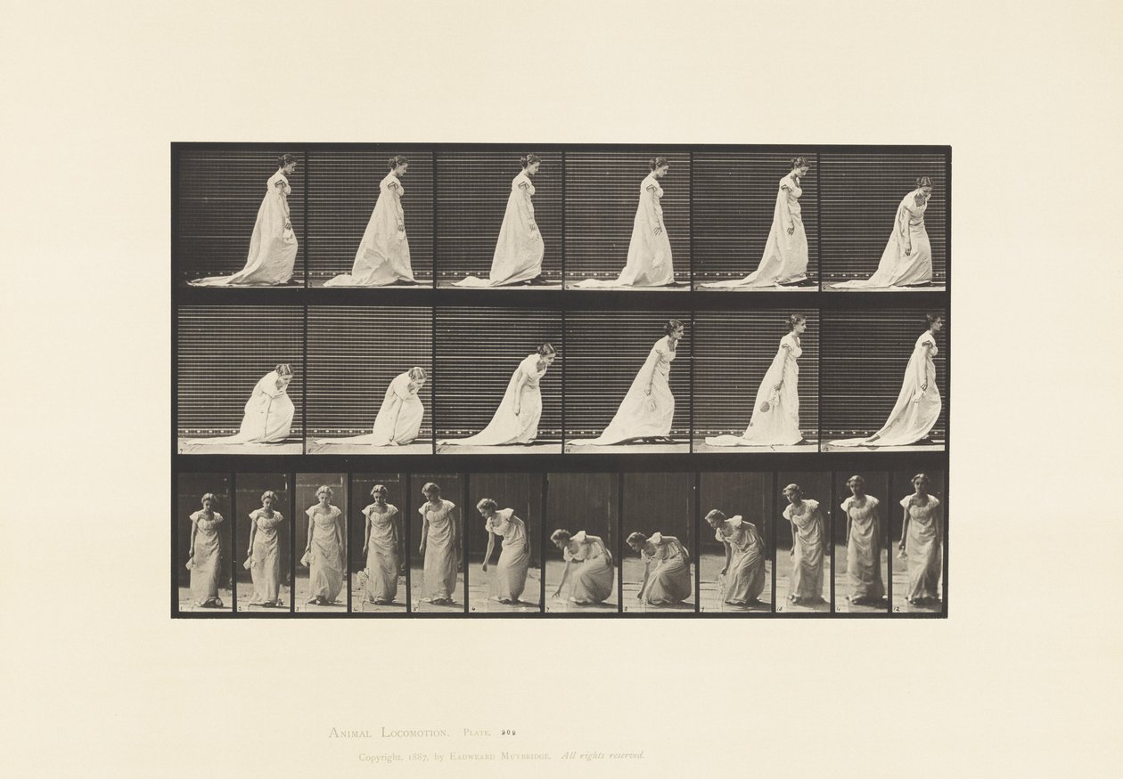 Plate 209. Bøye og løfte et håndtørkle, 1885 av Eadweard Muybridge