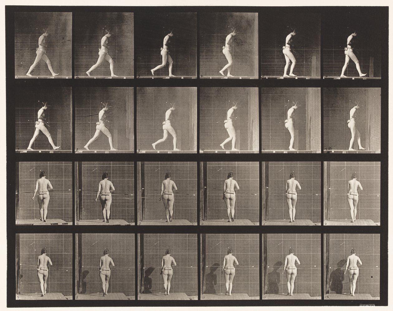 Plate 20. Gående, høyre albue bøyd av Eadweard Muybridge