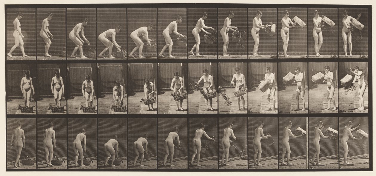 Tallerken 213. Løfte- og tømmekurv av Eadweard Muybridge