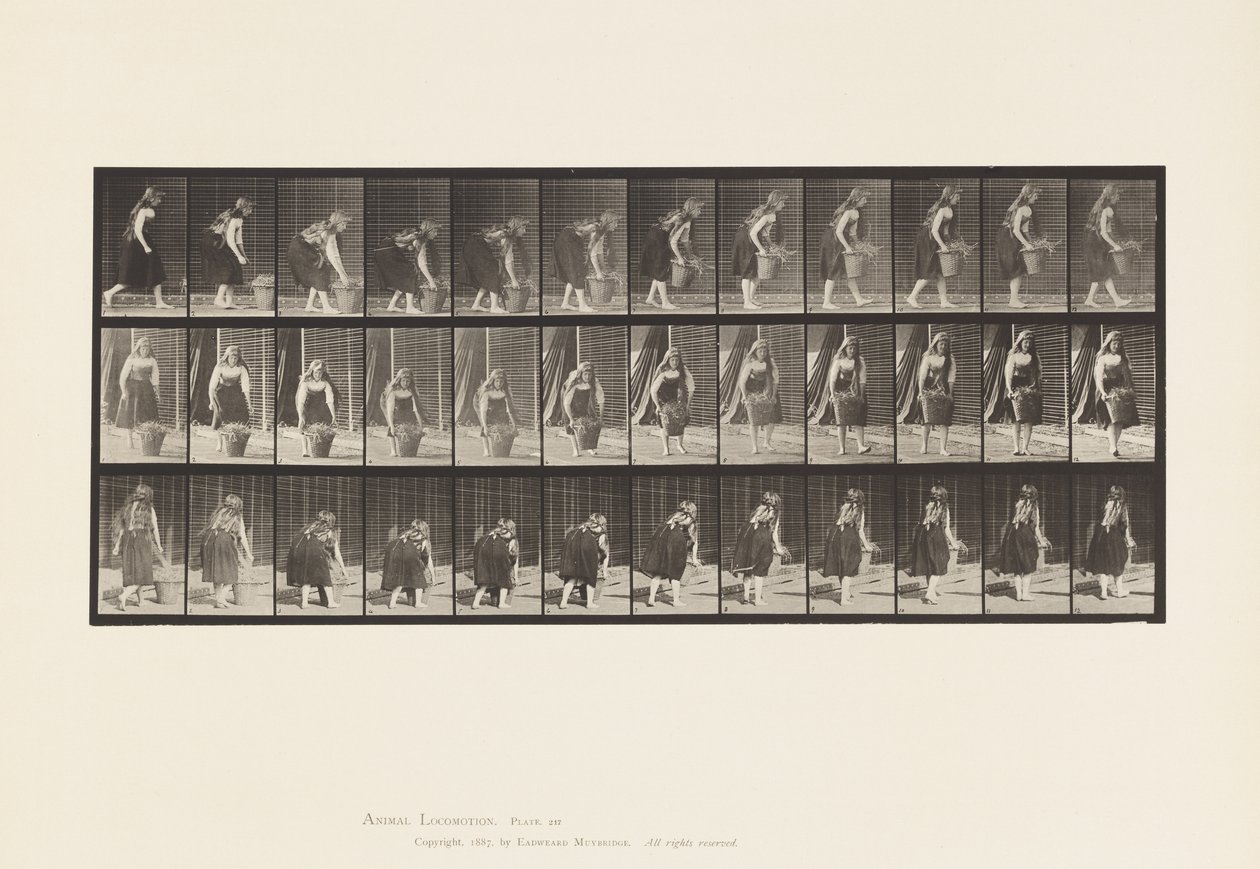 Plate 217. Bøye, løfte og bære 30 lb kurv, 1885 av Eadweard Muybridge