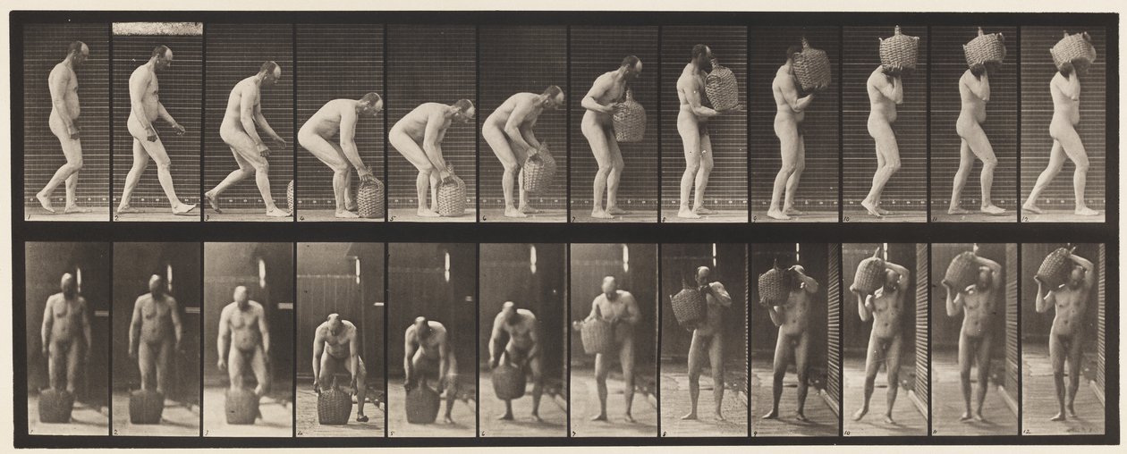 Plate 218. Bøye og løfte full Demijohn til skulder av Eadweard Muybridge