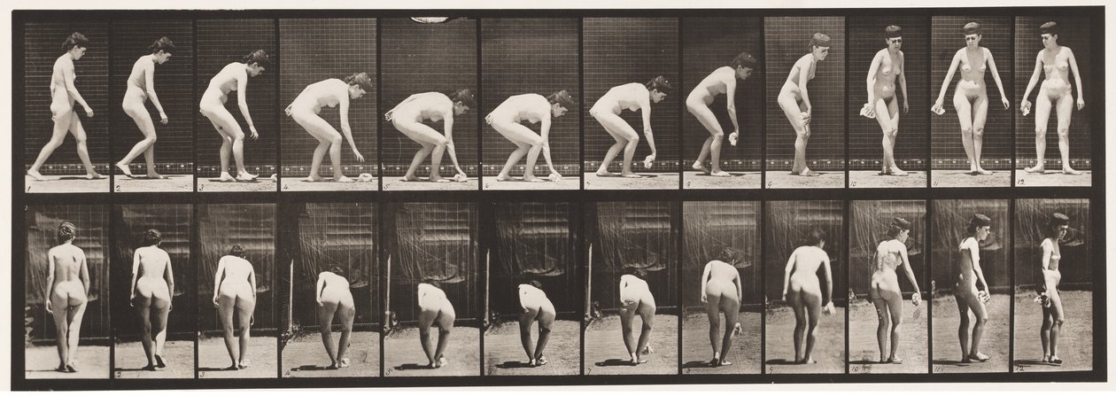 Tallerken 220. Bøye og løfte lommetørkle og snu av Eadweard Muybridge