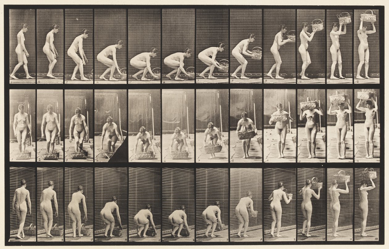 Plate 221. Bøye og løfte 12 lb kurv til hodet av Eadweard Muybridge