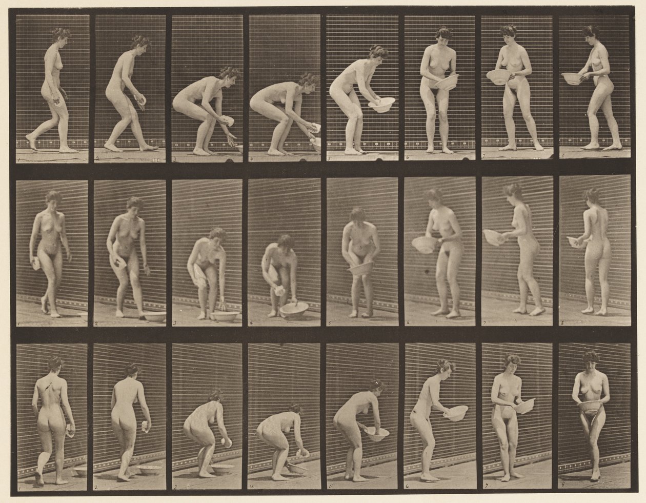 Plate 223. Bøye- og løftebasseng, tørke den og dreie, 1872-1885 av Eadweard Muybridge