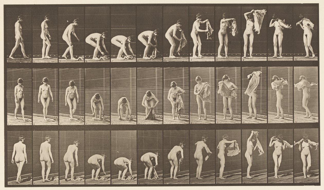Plate 227. Løfteduk fra bakken,, 1872-1885 av Eadweard Muybridge