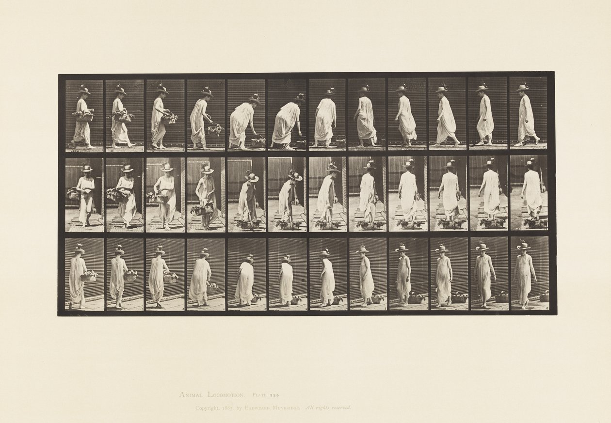 Plate 229. Plassere kurven på bakken og snu av Eadweard Muybridge