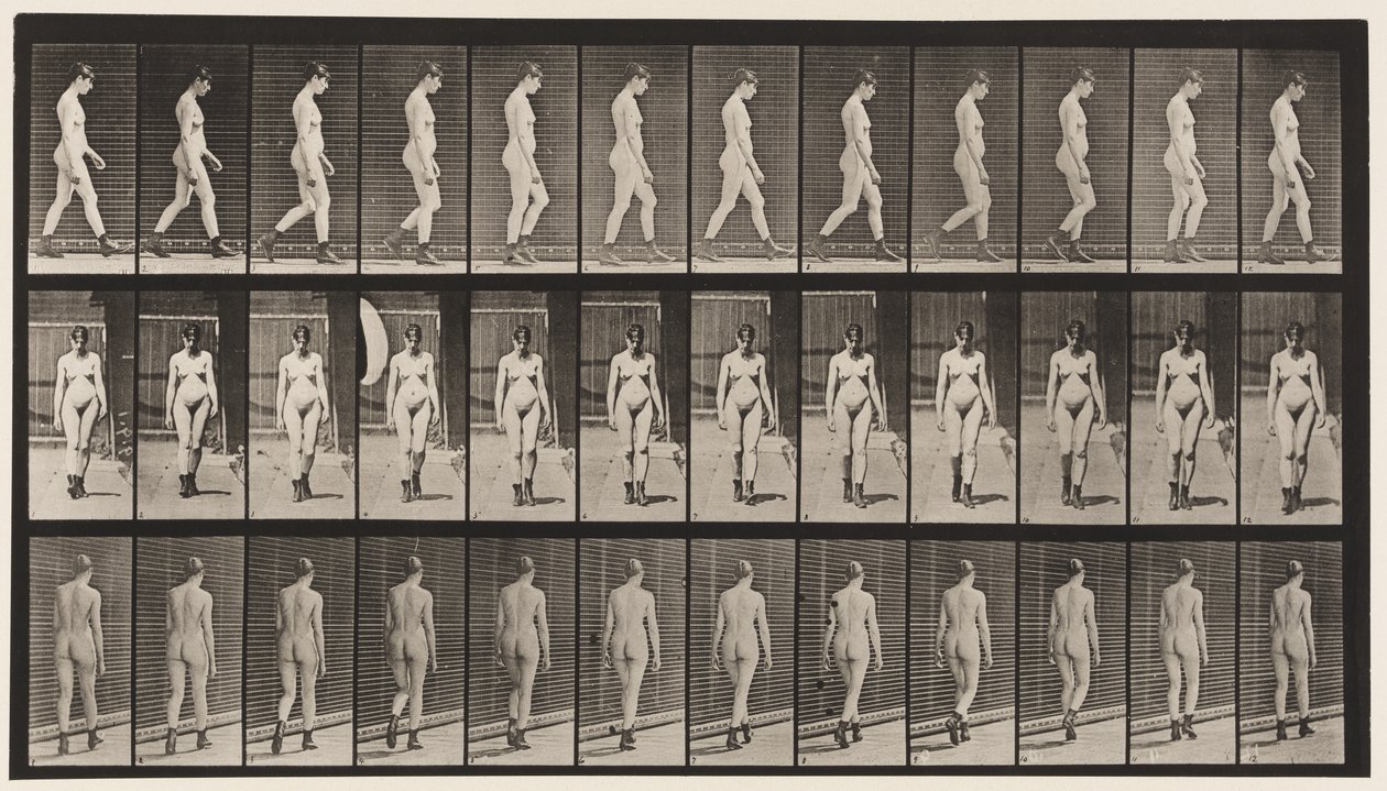 Plate 22. Gå, med høyhælte støvler på, 1872-1885 av Eadweard Muybridge