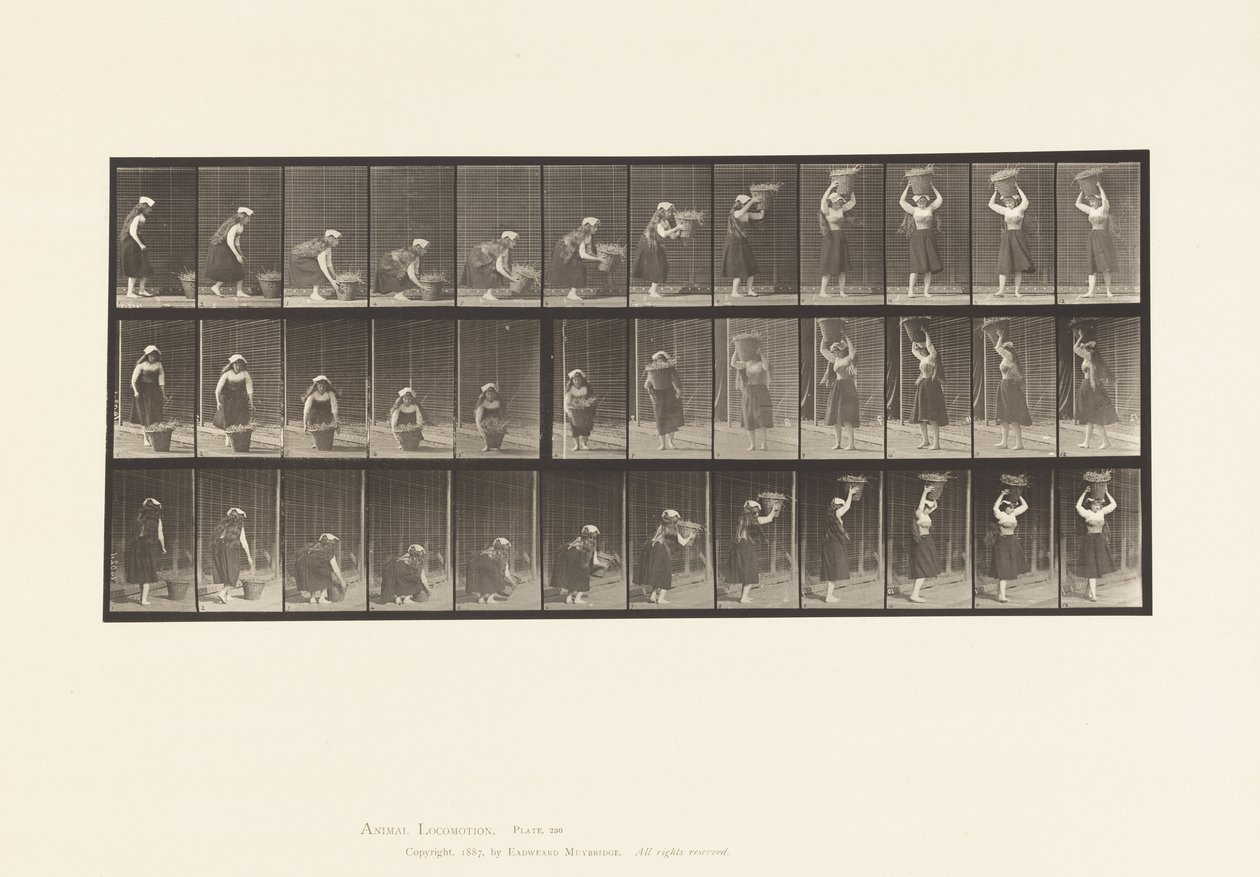 Tallerken 230. Løfter 30 lb kurv fra bakke til hode, dreiing, 1885 av Eadweard Muybridge