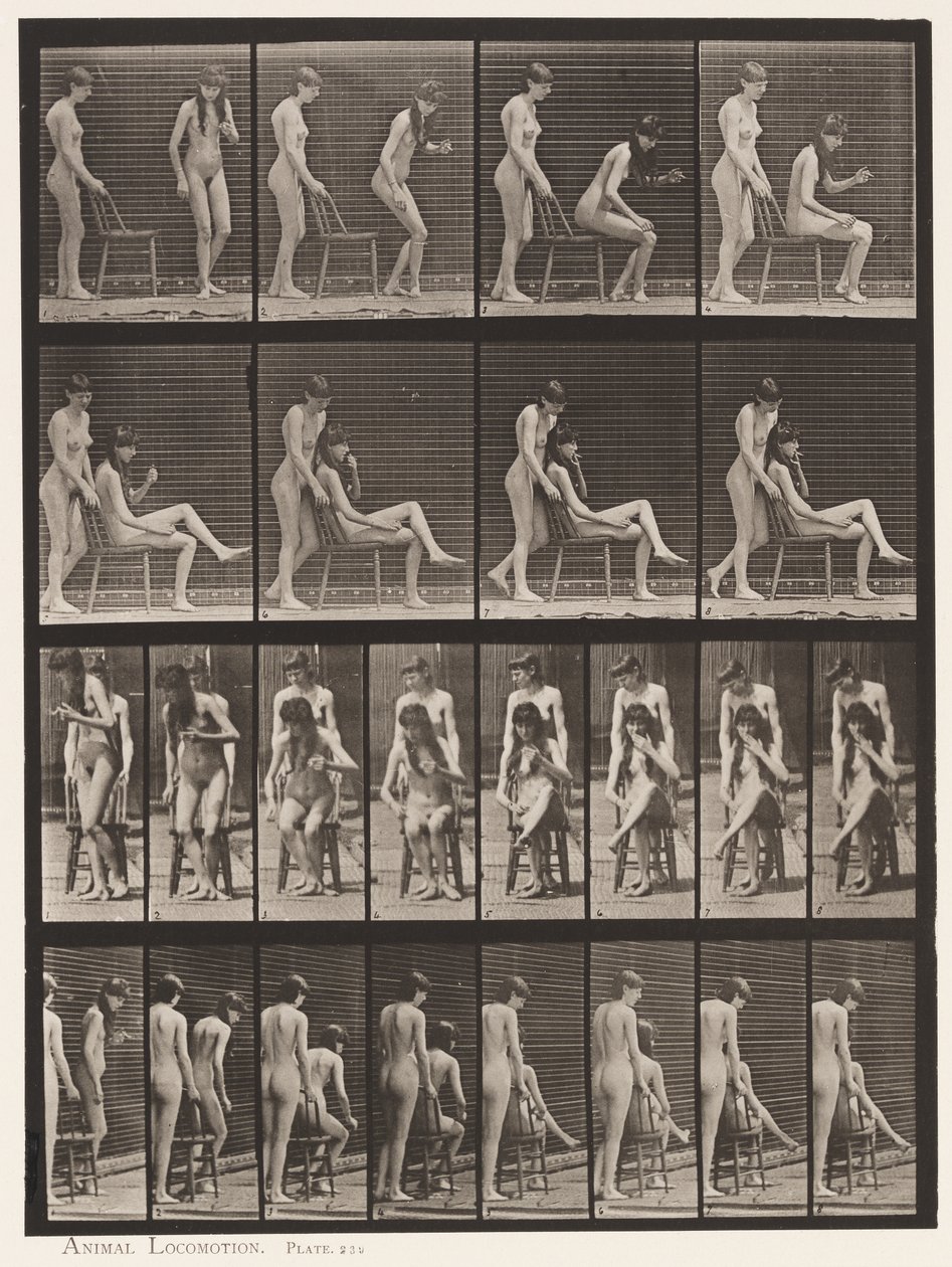 Plate 239. To modeller; den ene stående, den andre sitter, krysser beina av Eadweard Muybridge