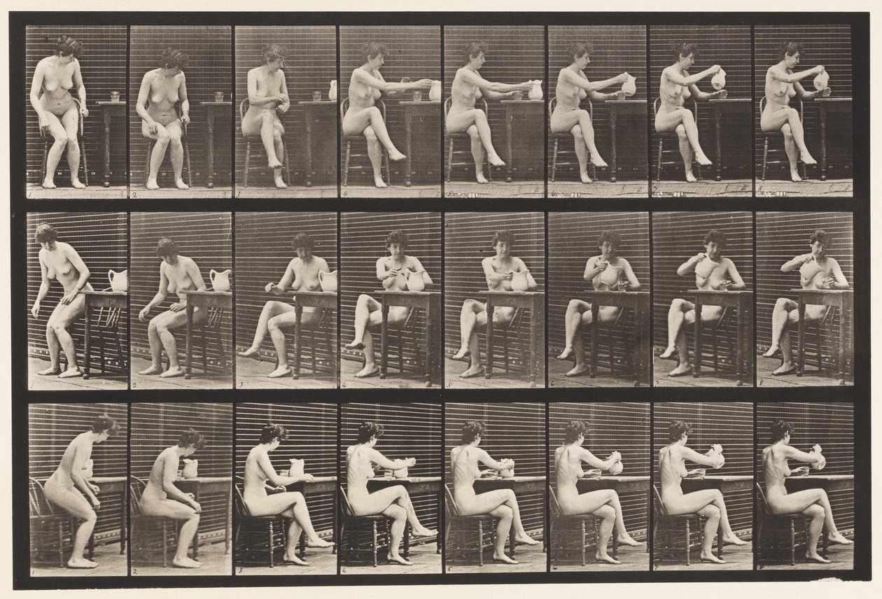 Tallerken 244. Sittende kryssende ben, fyllebeger fra Pitcher av Eadweard Muybridge