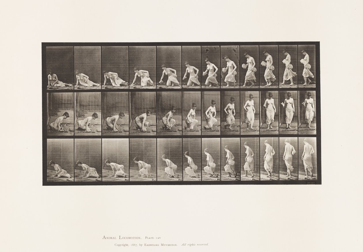 Plate 248. Setter seg ned på bakken av Eadweard Muybridge