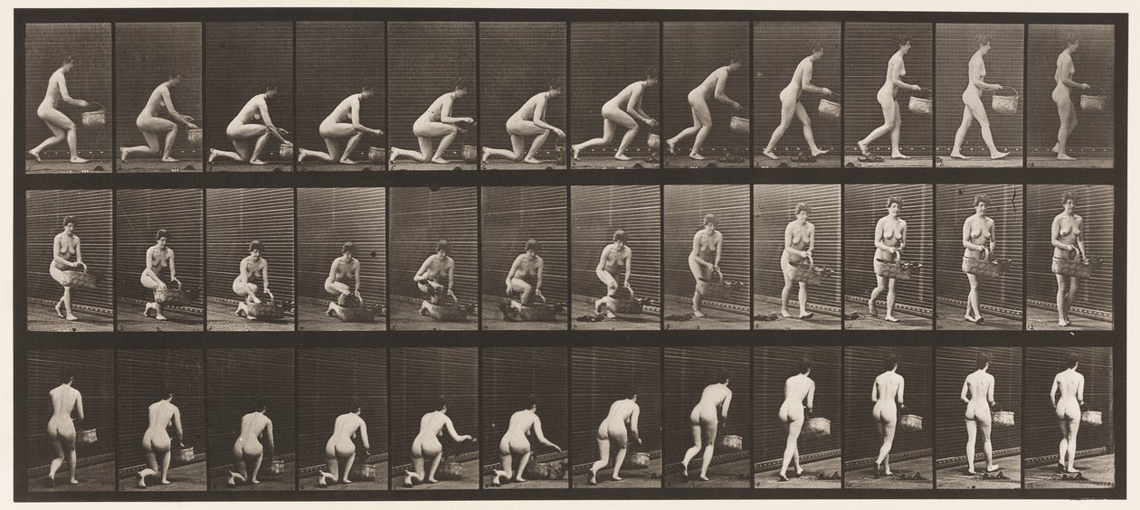 Plate 251. Kneler på venstre kne, kurv i venstre hånd og reiser seg, 1872-1885 av Eadweard Muybridge