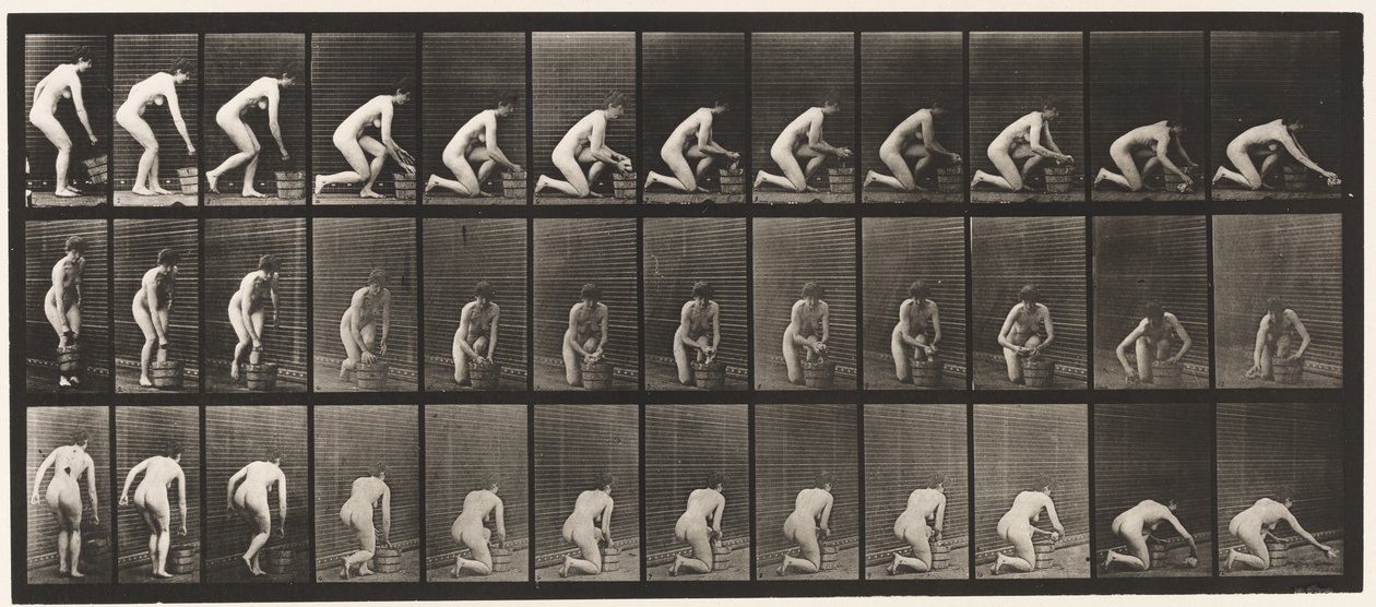 Plate 252. Kneler på høyre kne og skrubber gulvet, 1872-1885 av Eadweard Muybridge