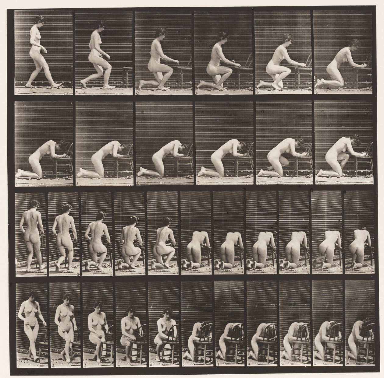 Tallerken 254. Knestående, albuer på stolen, hendene sammen av Eadweard Muybridge