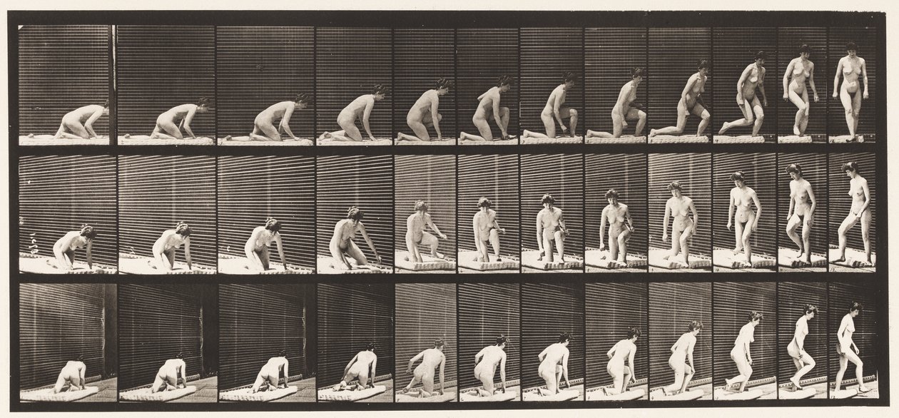 Tallerken 255. Oppstår fra knestående og vending av Eadweard Muybridge