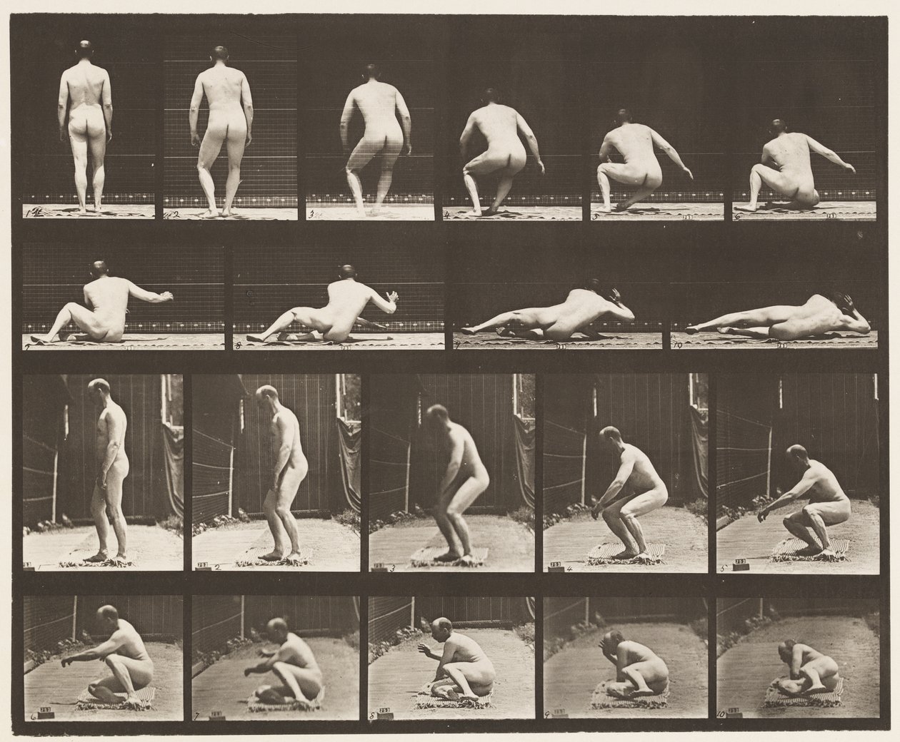 Plate 257. Liggende på bakken, 1885 av Eadweard Muybridge