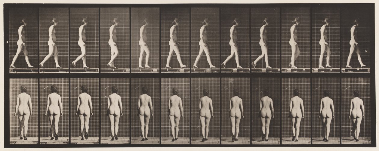 Plate 25. Gå, med høyhælte sko på av Eadweard Muybridge
