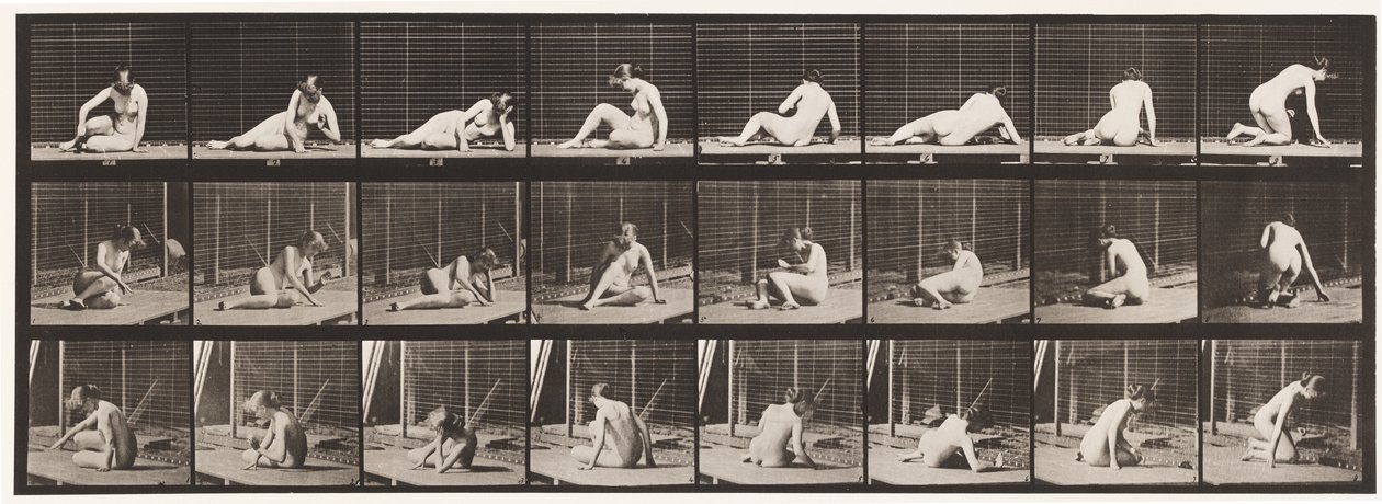 Plate 266. Snu og endre posisjon mens du fortsatt er på bakken av Eadweard Muybridge