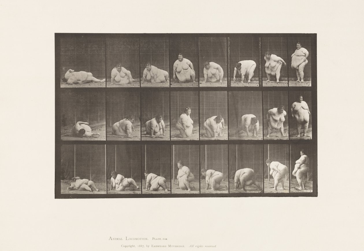 Plate 268. Oppstår fra bakken, 1885 av Eadweard Muybridge