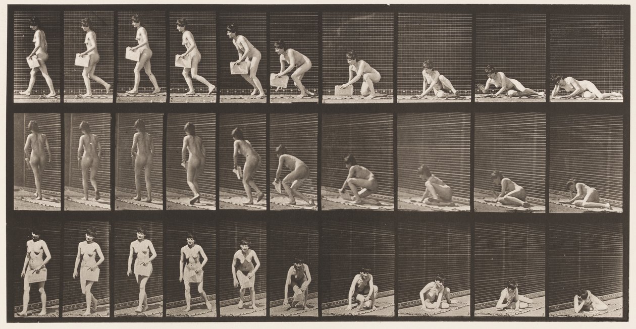 Plate 269. Står opp fra bakken med avis i venstre hånd, 1872-1885 av Eadweard Muybridge