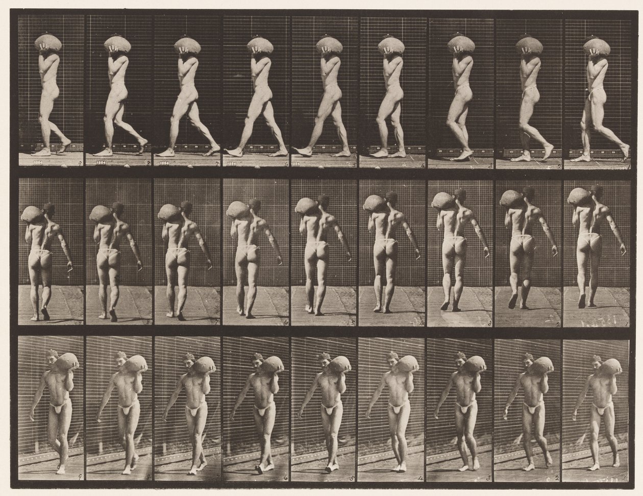 Plate 26. Gående, bærende 75-lb stein på venstre skulder av Eadweard Muybridge