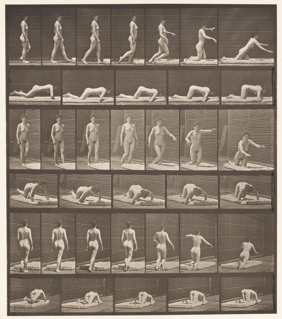 Plate 272. Snubler og faller på bakken av Eadweard Muybridge