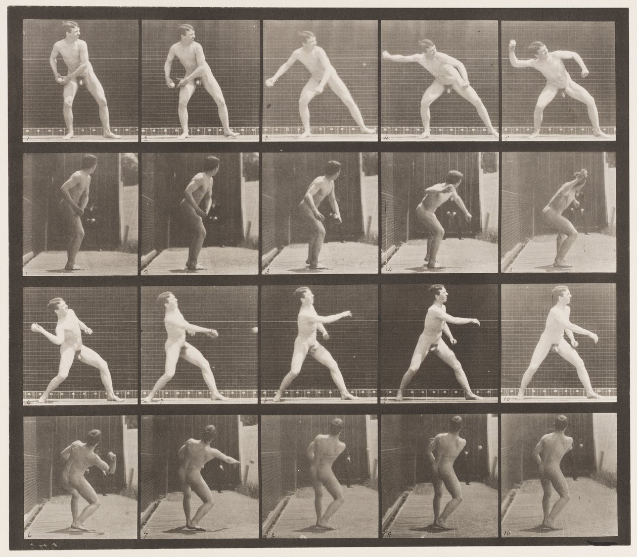 Plate 273. Base-ball; Pitching av Eadweard Muybridge