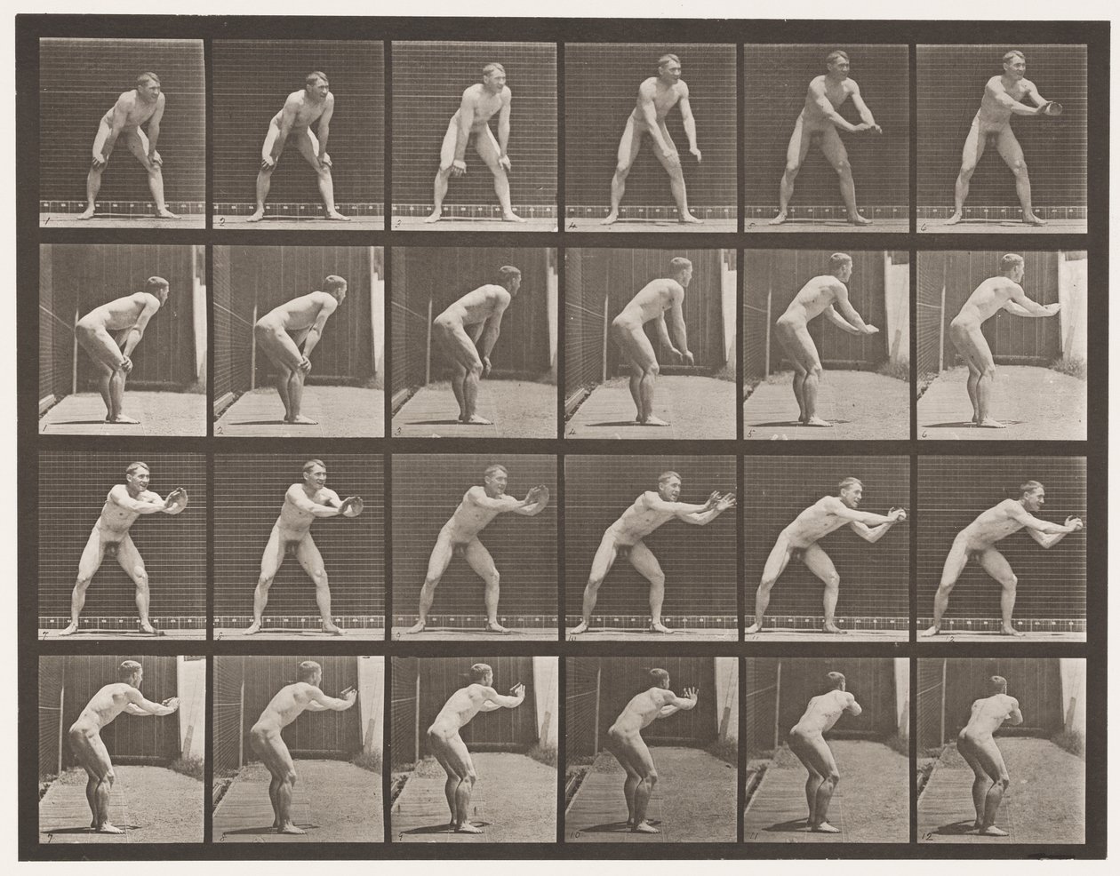 Plate 280.Base-ball; Fangst, 1885 av Eadweard Muybridge