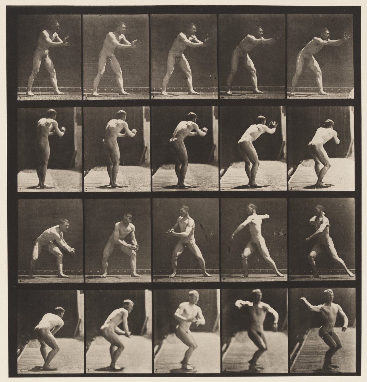 Plate 282.Base-ball; Fang og kast, 1885 av Eadweard Muybridge