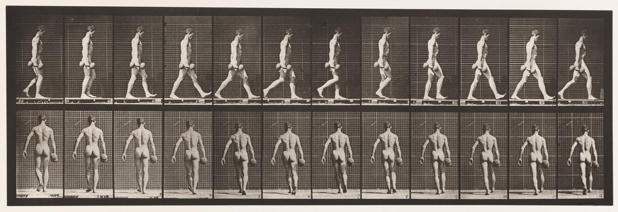 Plate 28. Gående, bærende 50 lb. Dumb-Bell i høyre hånd, 1872-1885 av Eadweard Muybridge
