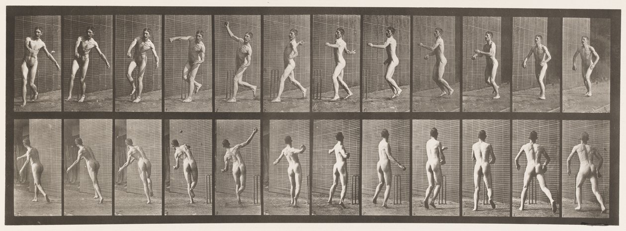 Plate 290.Cricket; Over Arm Bowling, 1885 av Eadweard Muybridge