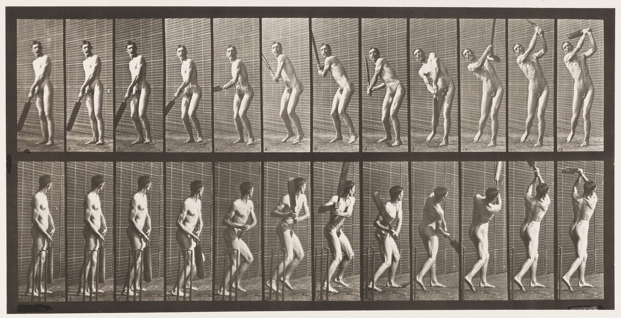 Plate 291.Cricket; Batting; Drive, 1885 av Eadweard Muybridge