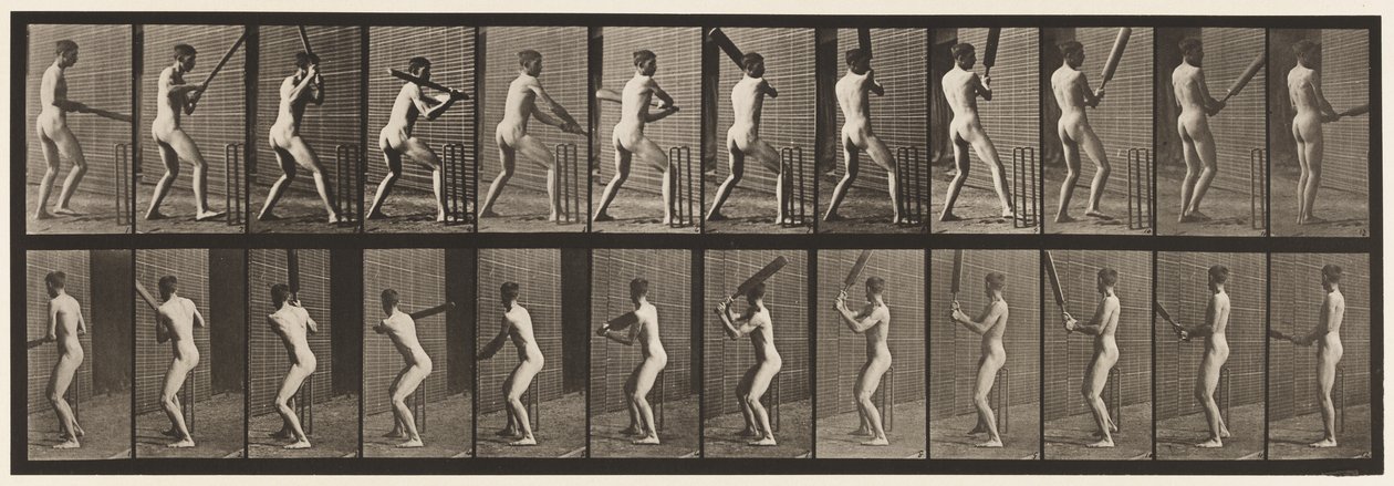 Plate 292.Cricket; Batting; Tilbake ut, 1885 av Eadweard Muybridge