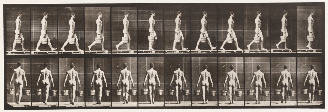 Plate 29. Gå, bære bøtte med vann i hver hånd, 1872-1885 av Eadweard Muybridge