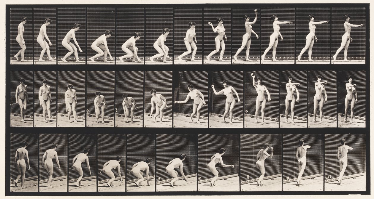 Plate 303. Å plukke opp en ball og kaste den, 1872-1885 av Eadweard Muybridge