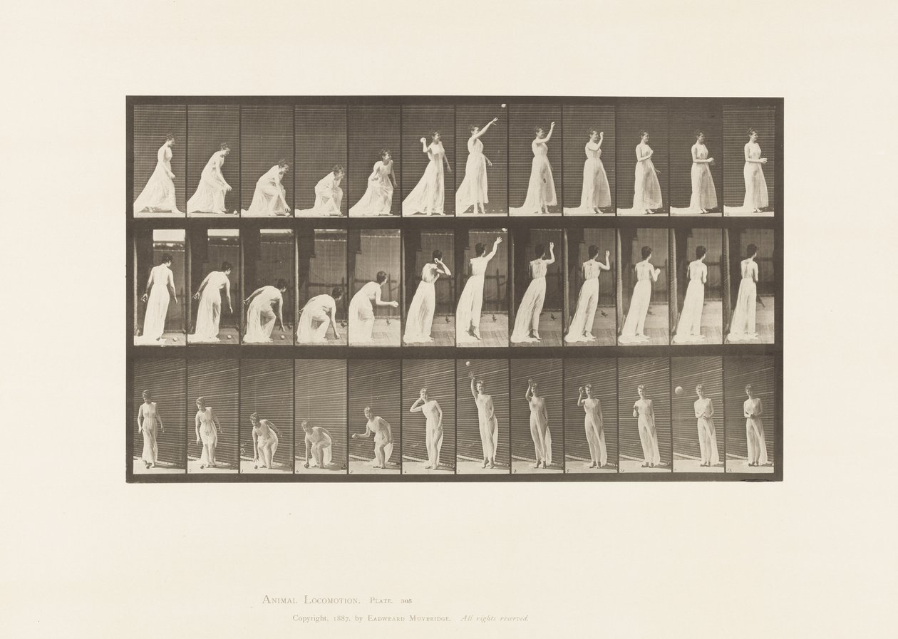 Plate 305. Plukke opp en ball og kaste den, 1885 av Eadweard Muybridge