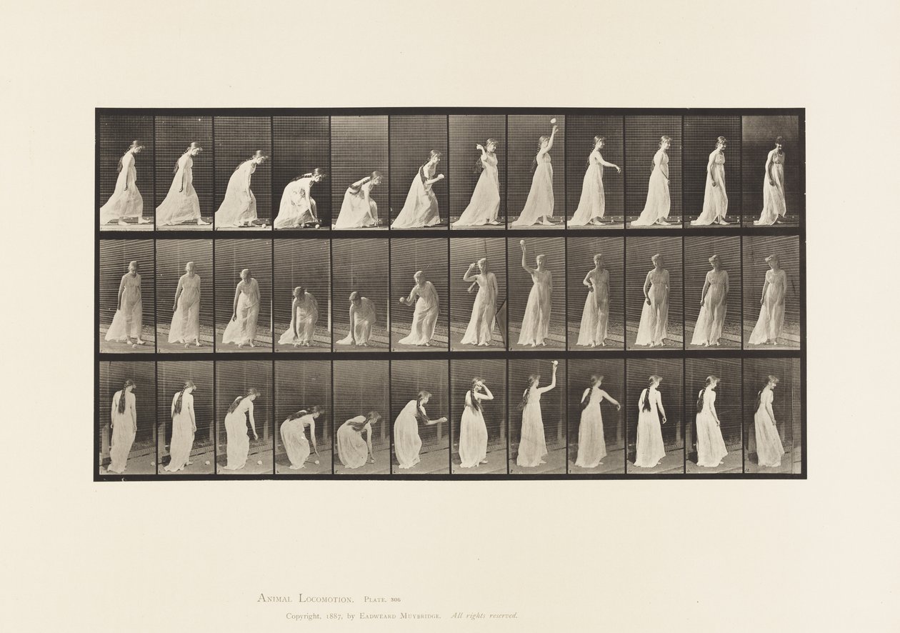 Plate 306. Plukke opp en ball og kaste den, 1885 av Eadweard Muybridge