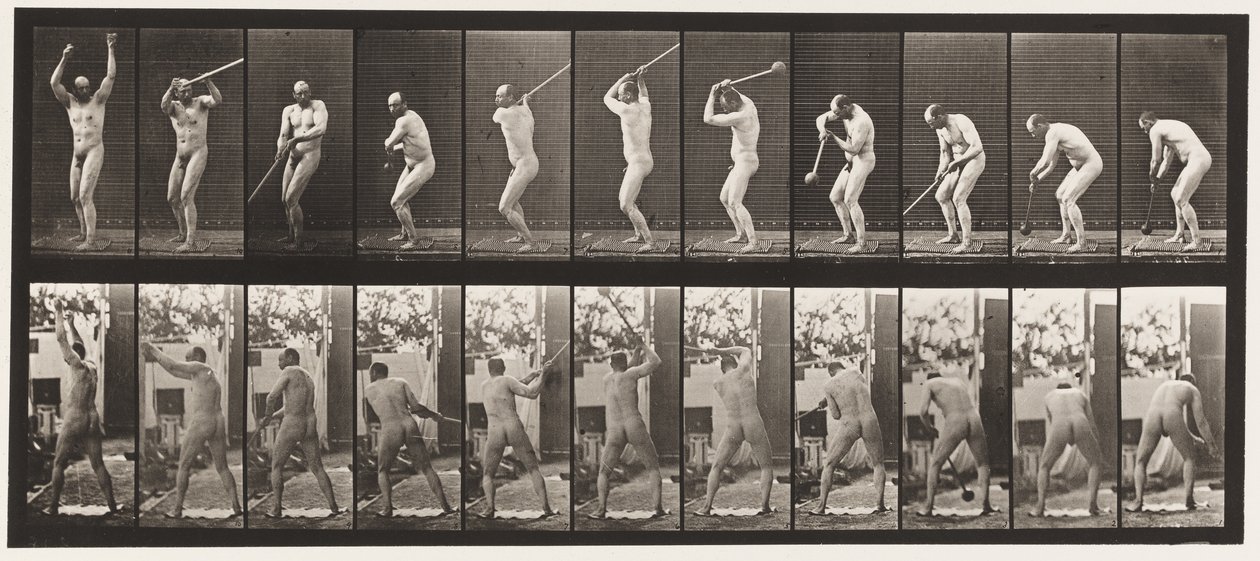 Plate 308. Throwing the Hammer, 1885 av Eadweard Muybridge