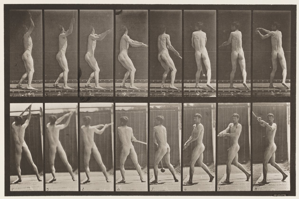 Plate 309. Kaste hammeren av Eadweard Muybridge