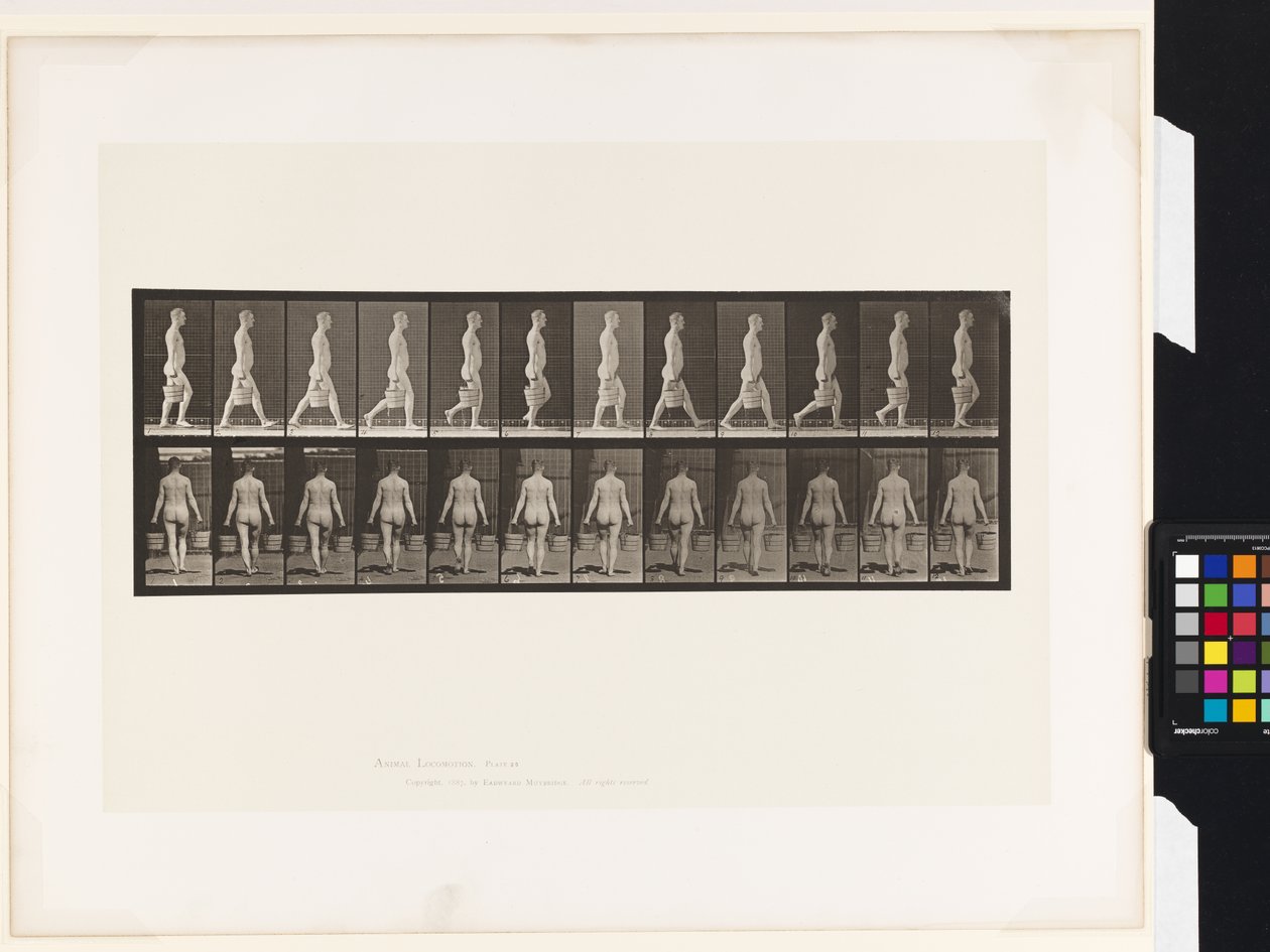 Plate 30. Gående, bære bøtte med vann i hver hånd av Eadweard Muybridge