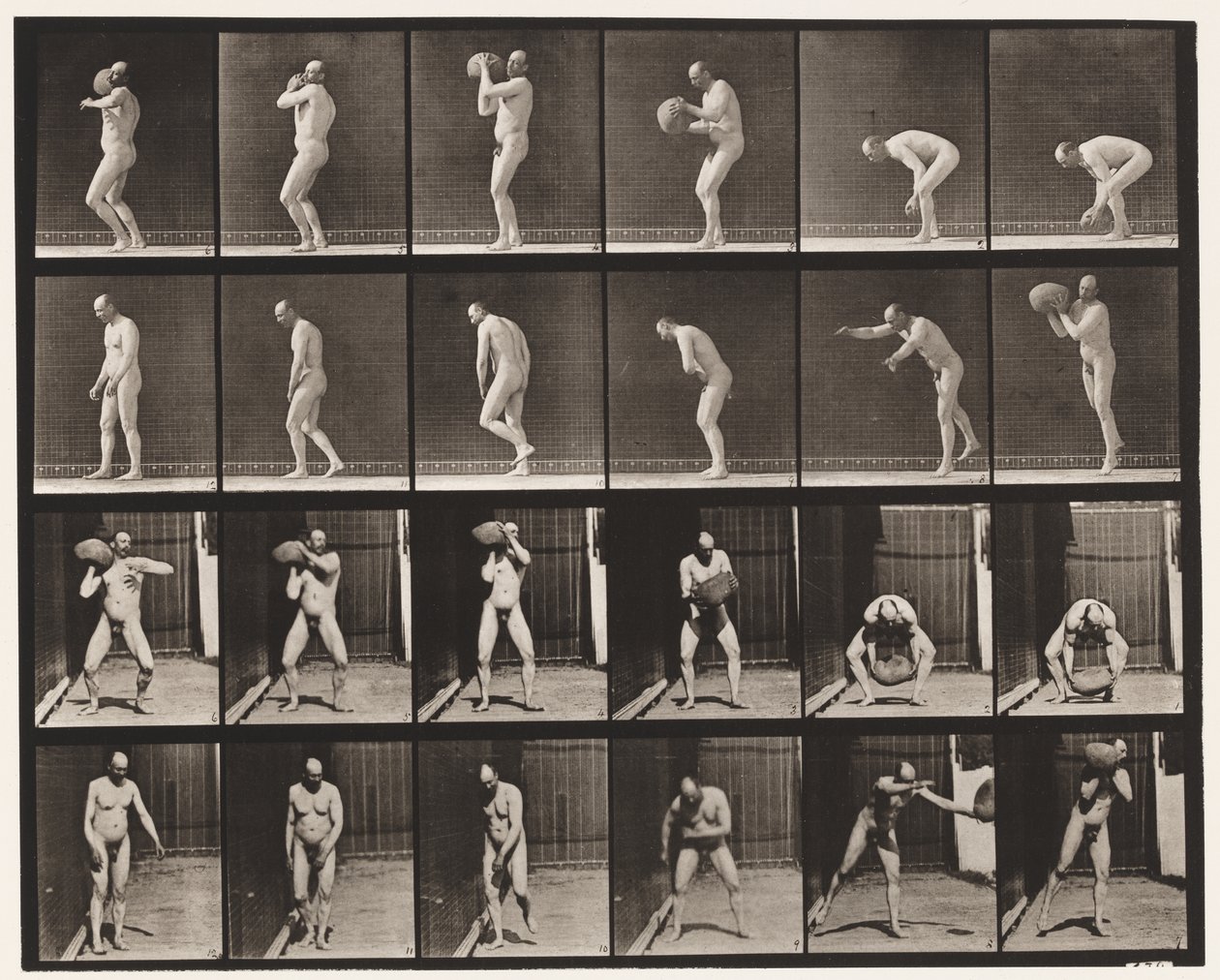 Plate 312. Heaving a 75-lb stein av Eadweard Muybridge
