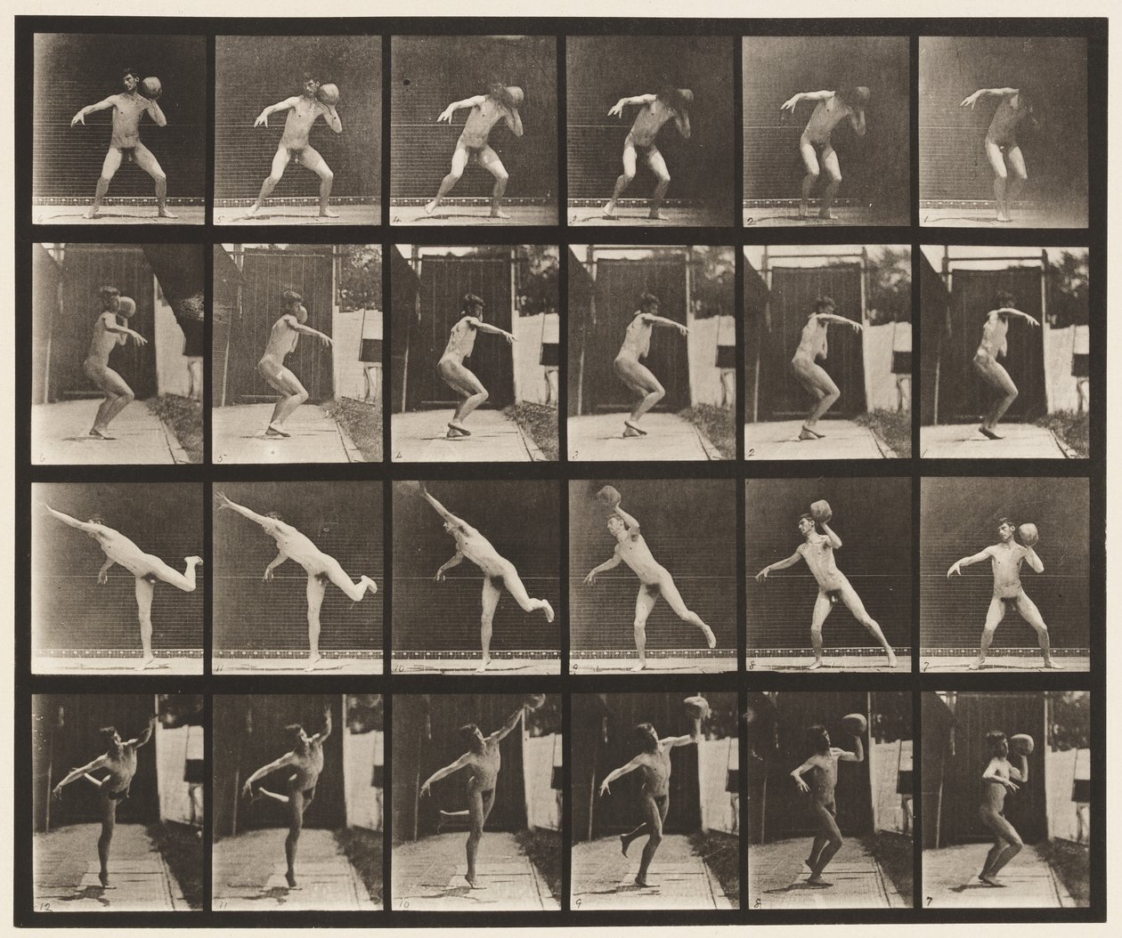 Plate 315. Heaving a 20-lb stein av Eadweard Muybridge