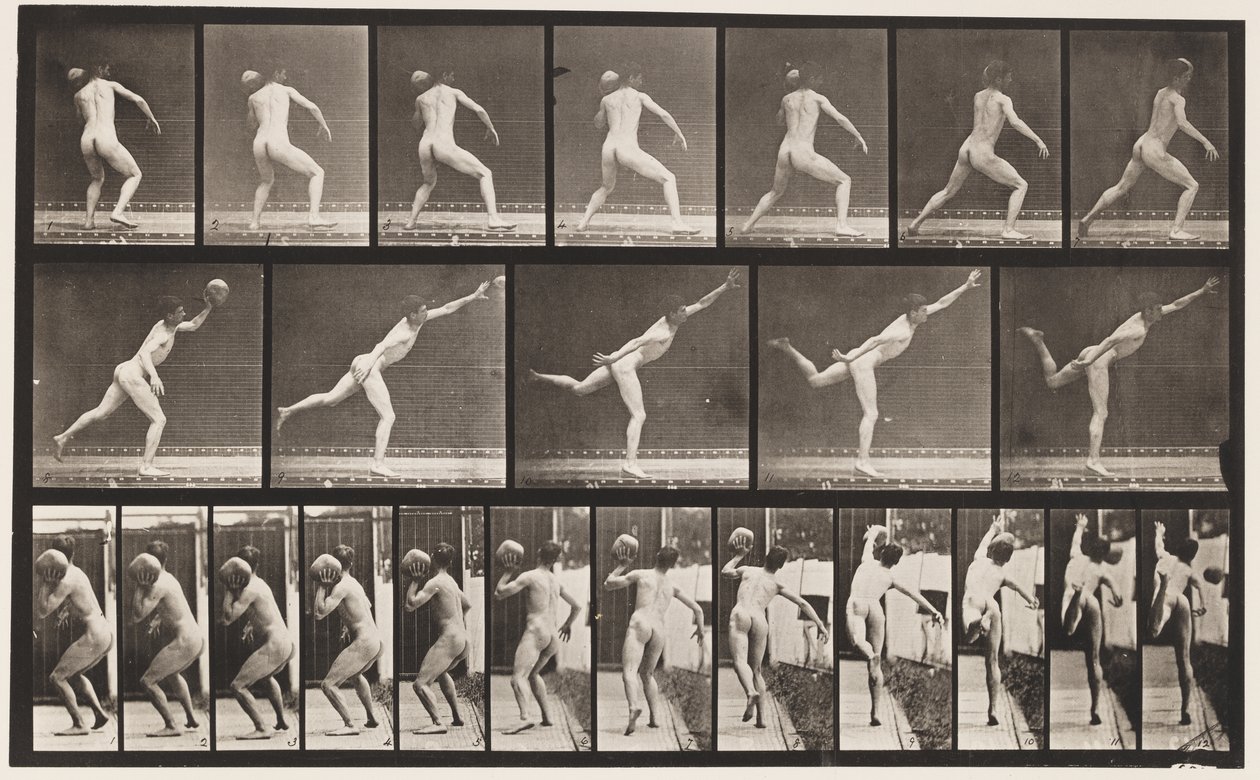 Plate 316. Heaving a 20-lb Rock, 1885 av Eadweard Muybridge
