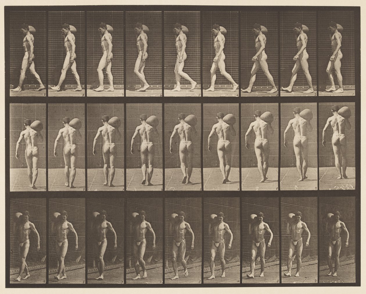 Plate 31. Gående, bærende 75-lb stein på høyre skulder av Eadweard Muybridge