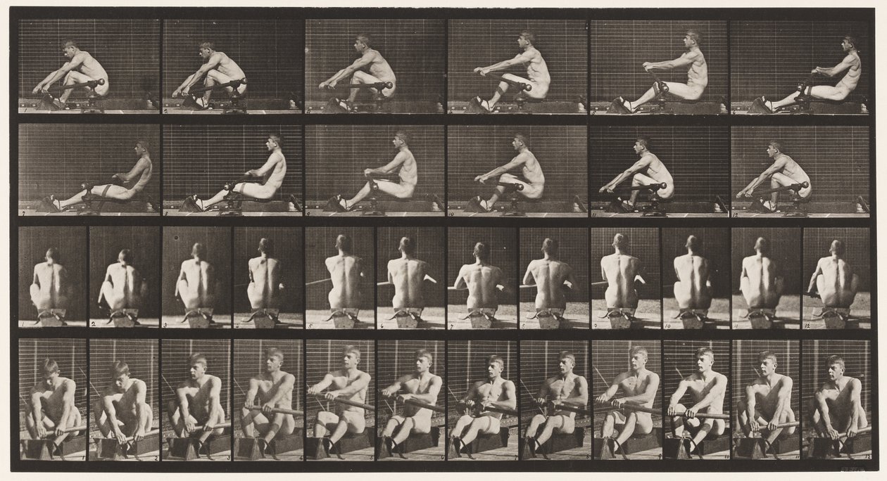 Plate 327. Roing av Eadweard Muybridge