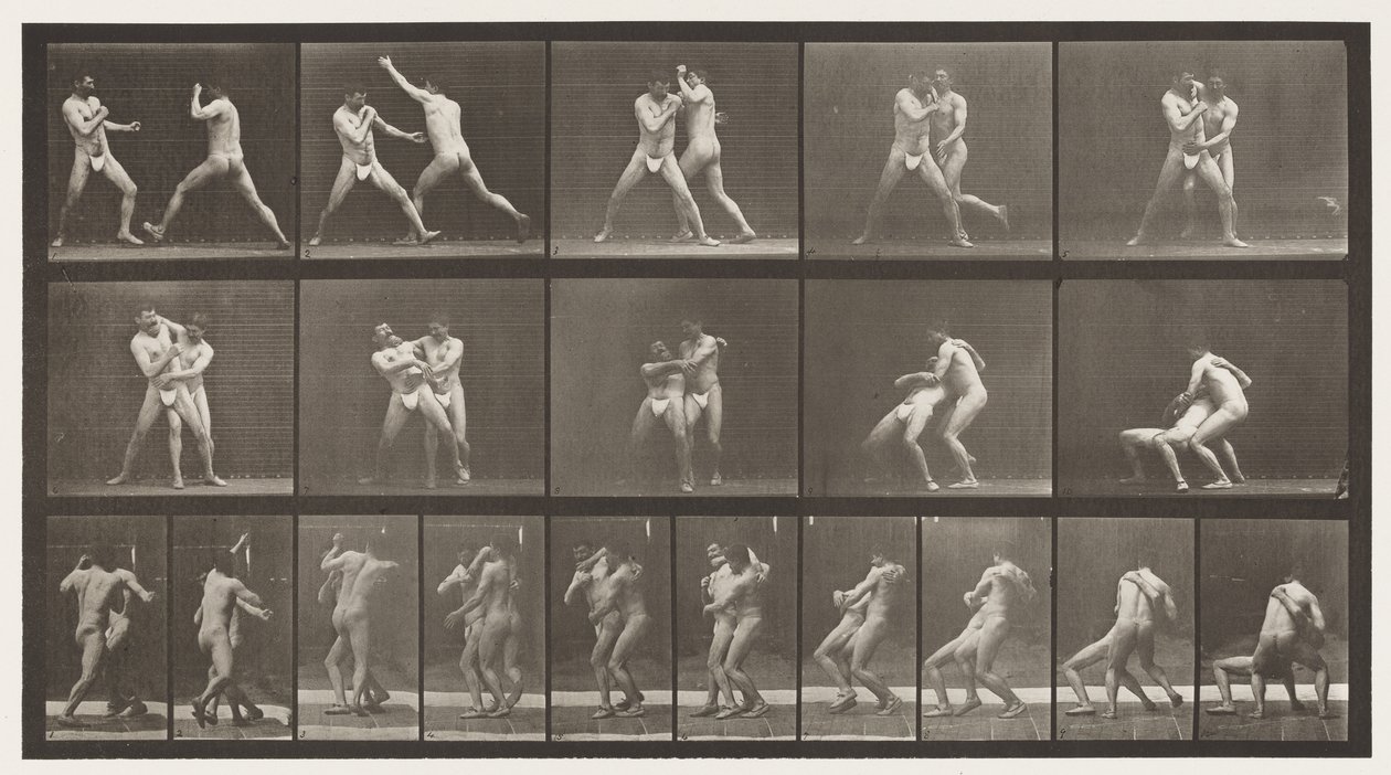 Plate 331. Boksing; Stopp for kryssrumper av Eadweard Muybridge