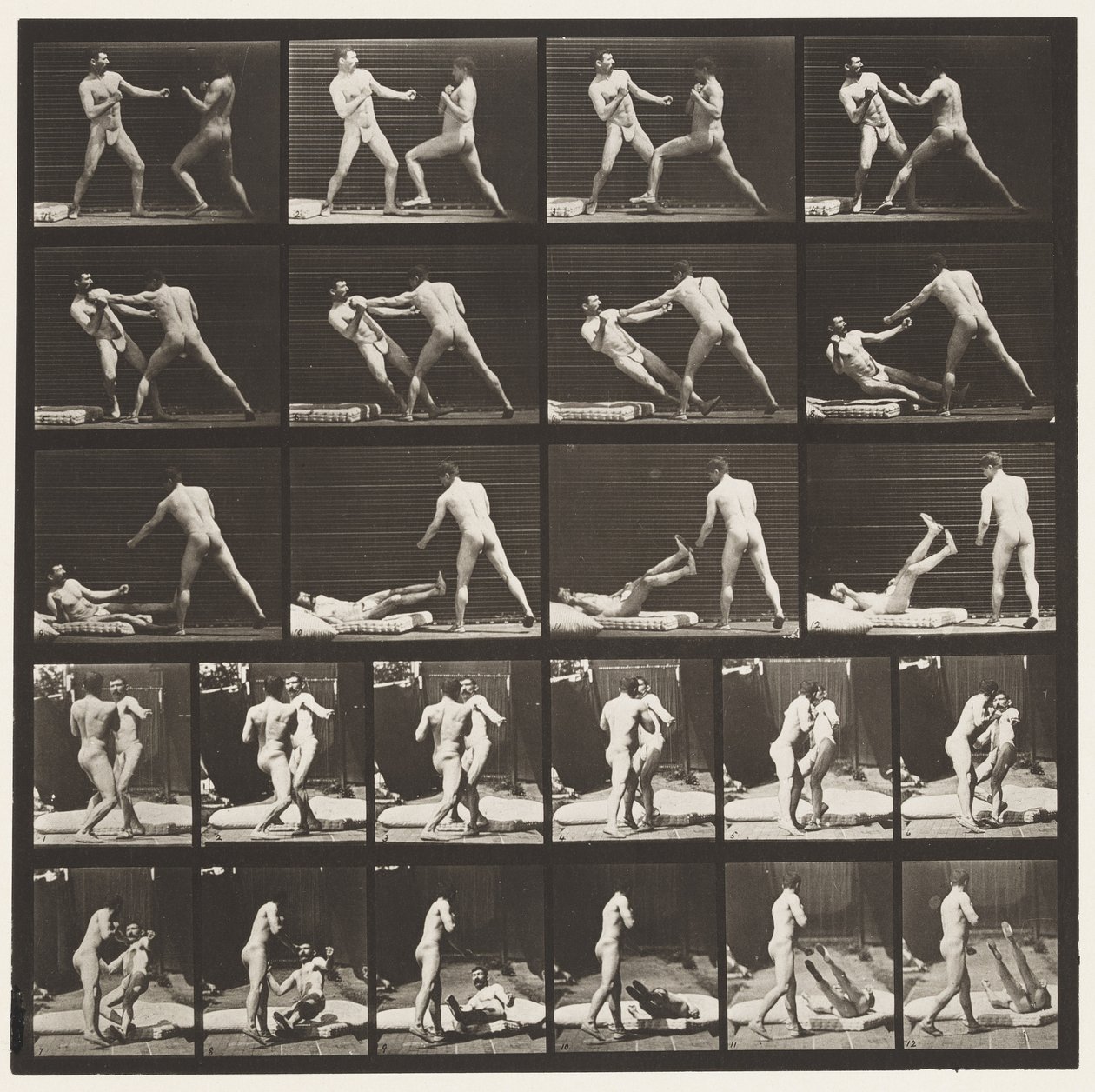 Plate 333. Boksing; 53 Knocking 52 Down (Sko) av Eadweard Muybridge