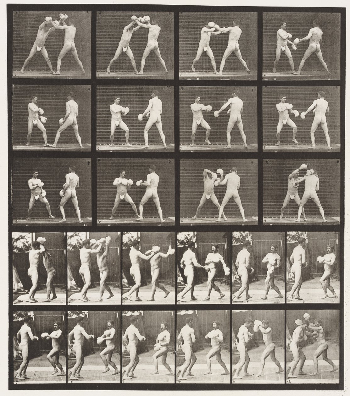 Plate 334. Boksing; Med hansker (sko) av Eadweard Muybridge