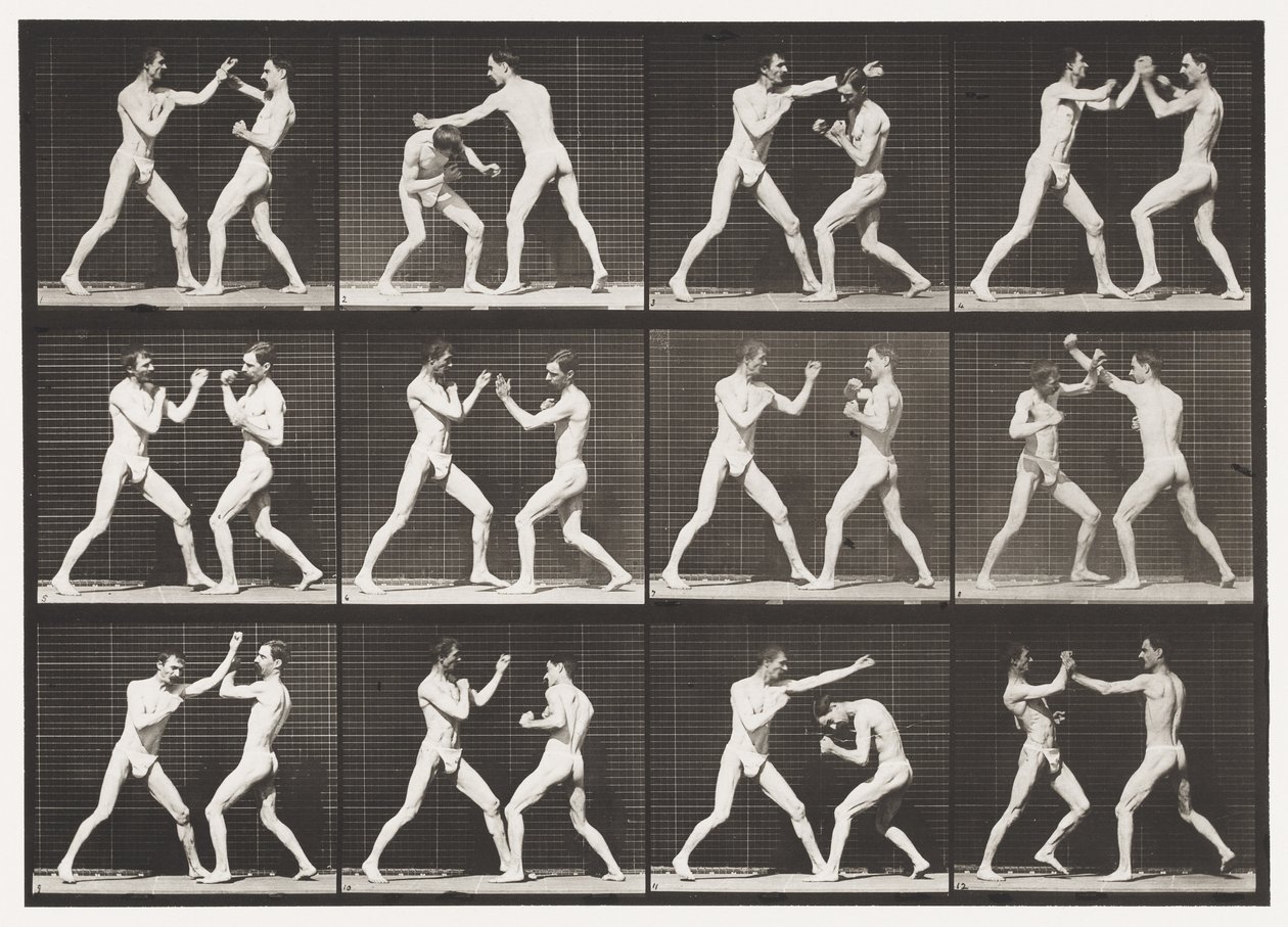 Plate 336. Boksing; Åpen hånd (sko) av Eadweard Muybridge
